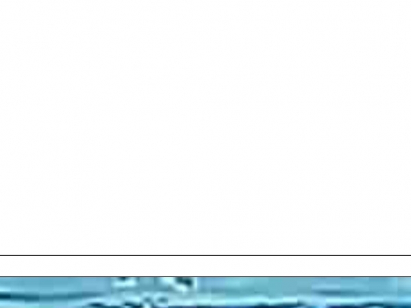 kostvejleder-odense.dk