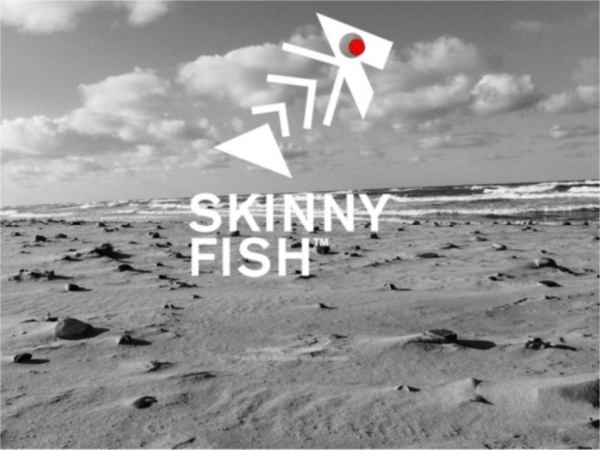 skinnyfish.se