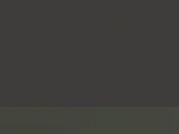 test2.maishudpleje.dk